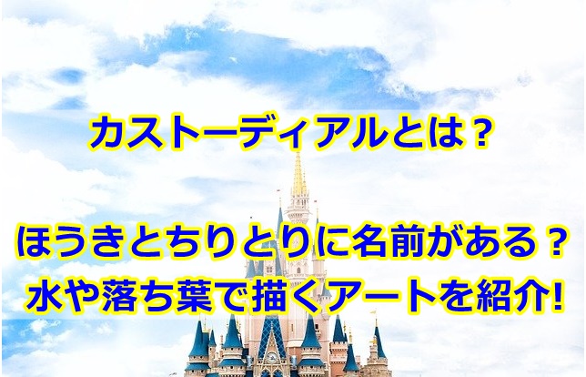 ディズニーのほうきとちりとりには名前がある？水で絵を描くカストーディアルとは？