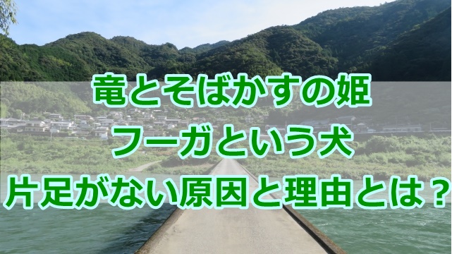 竜そば犬のケガの原因や片足がない理由も考察！