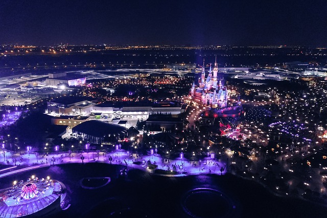 ディズニークリスマスはランドかシーどっちがおすすめ？装飾やショーなど楽しみ方を紹介！