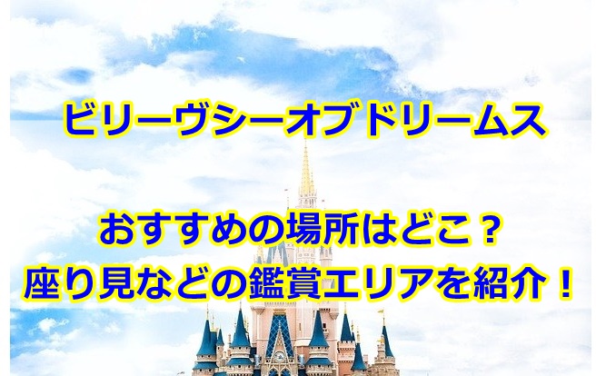 ビリーヴシーオブドリームス席おすすめの場所はどこ？座り見などの鑑賞エリアを紹介！