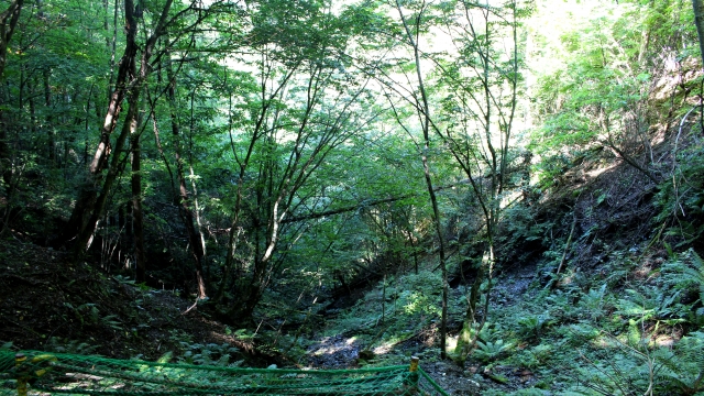 ガンニバルドラマのロケ地は養父市のどこ？供花村や襲われたシーンの撮影場所も紹介！